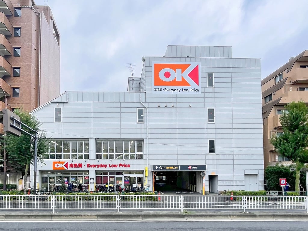 cf_kotake2_cns2-5