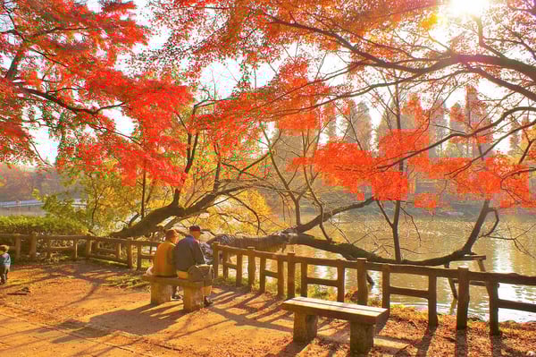 B-TA-C07-NO7-inokashira-01