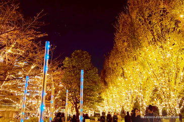 TA-C08-ropmidtown-xmas-01