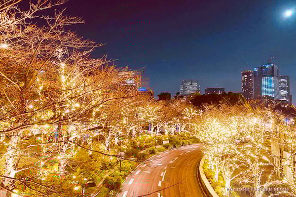 TA-C08-ropmidtown-xmas-02