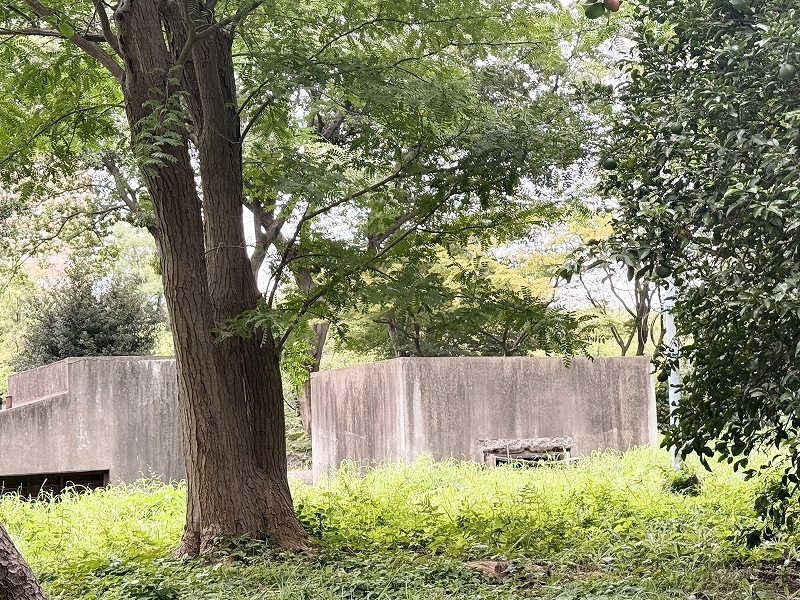 itabashi_area_12