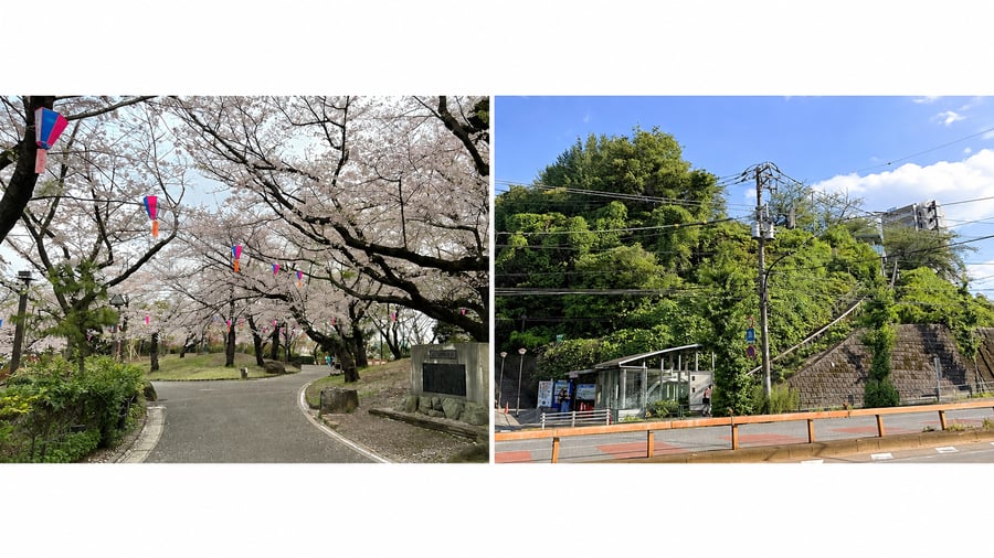 oji_area5