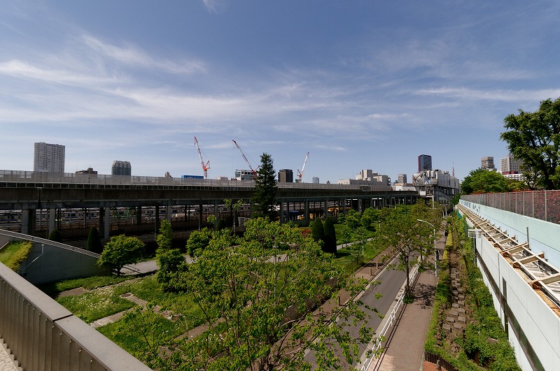 区立芝浦中央公園から建設予定地を望む