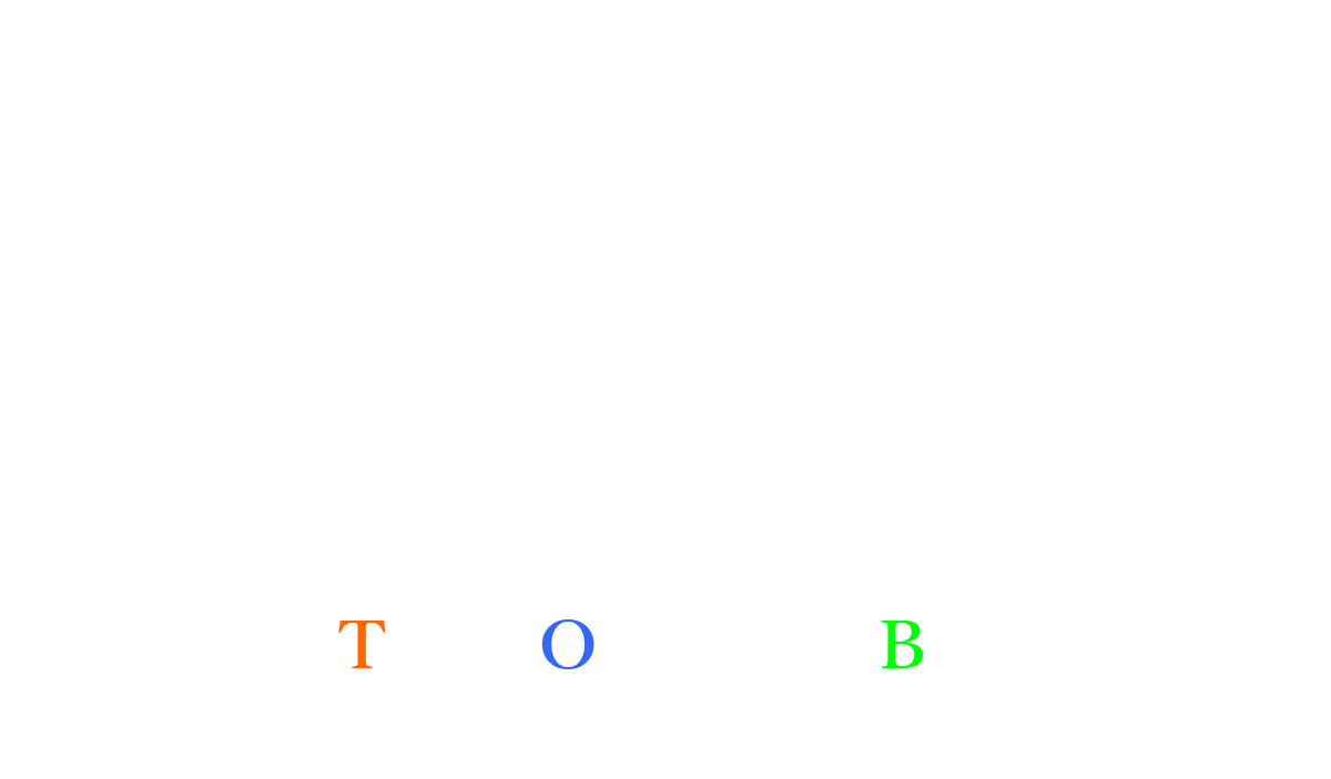 hres_vision