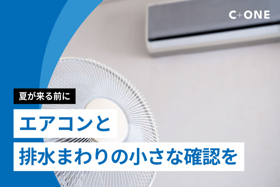 記事の画像