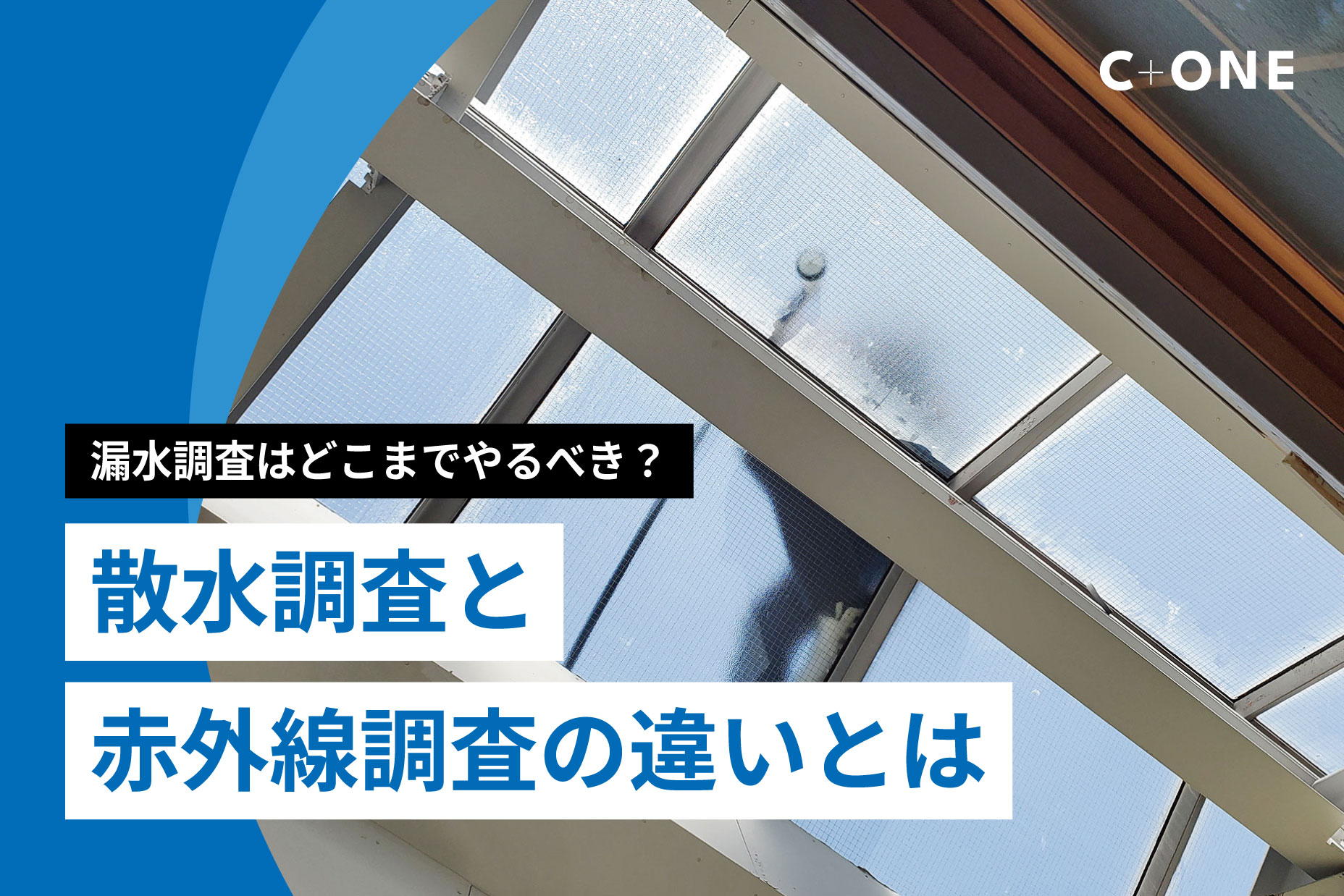 記事の画像