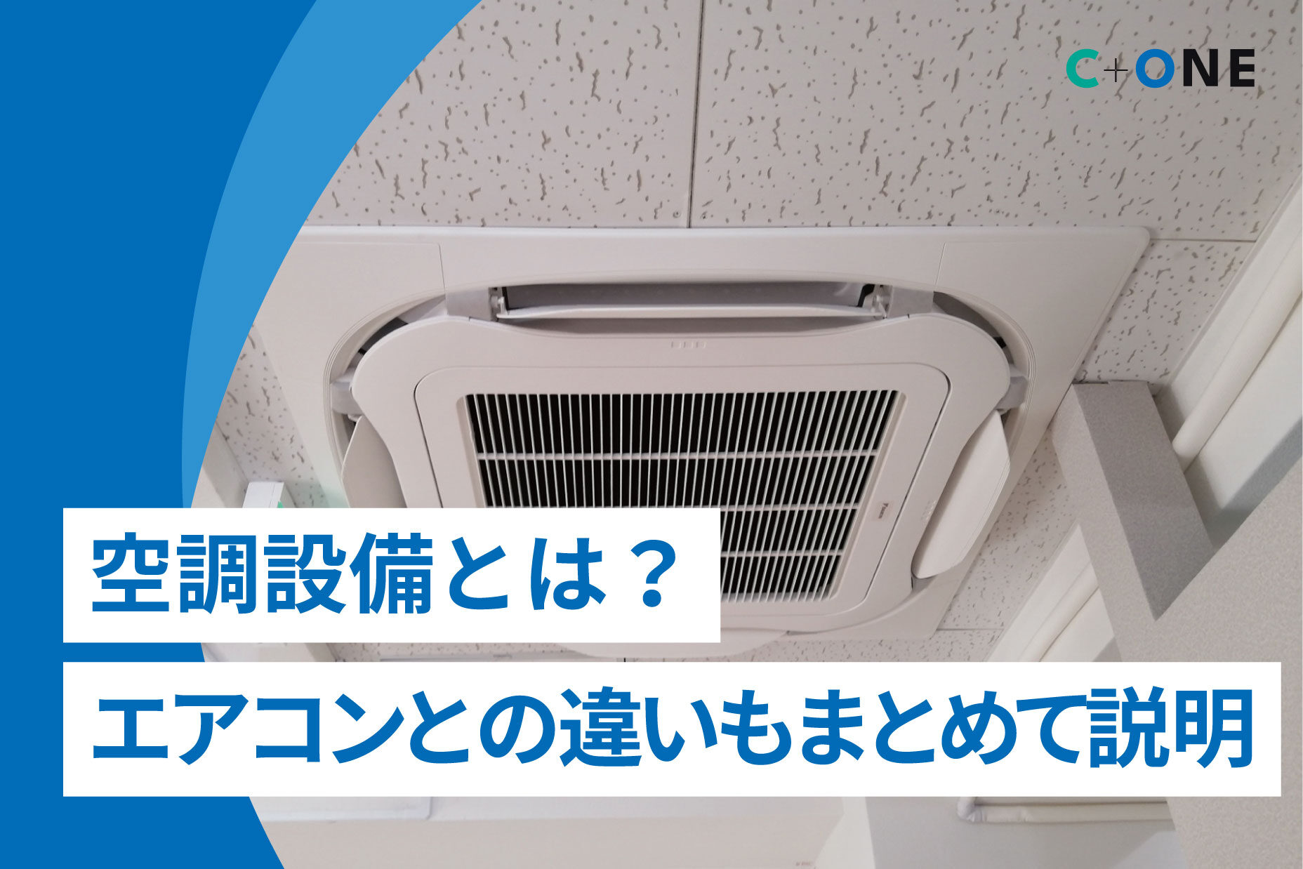 記事の画像
