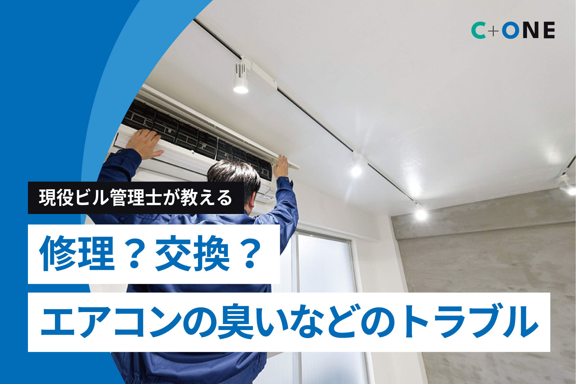 記事の画像