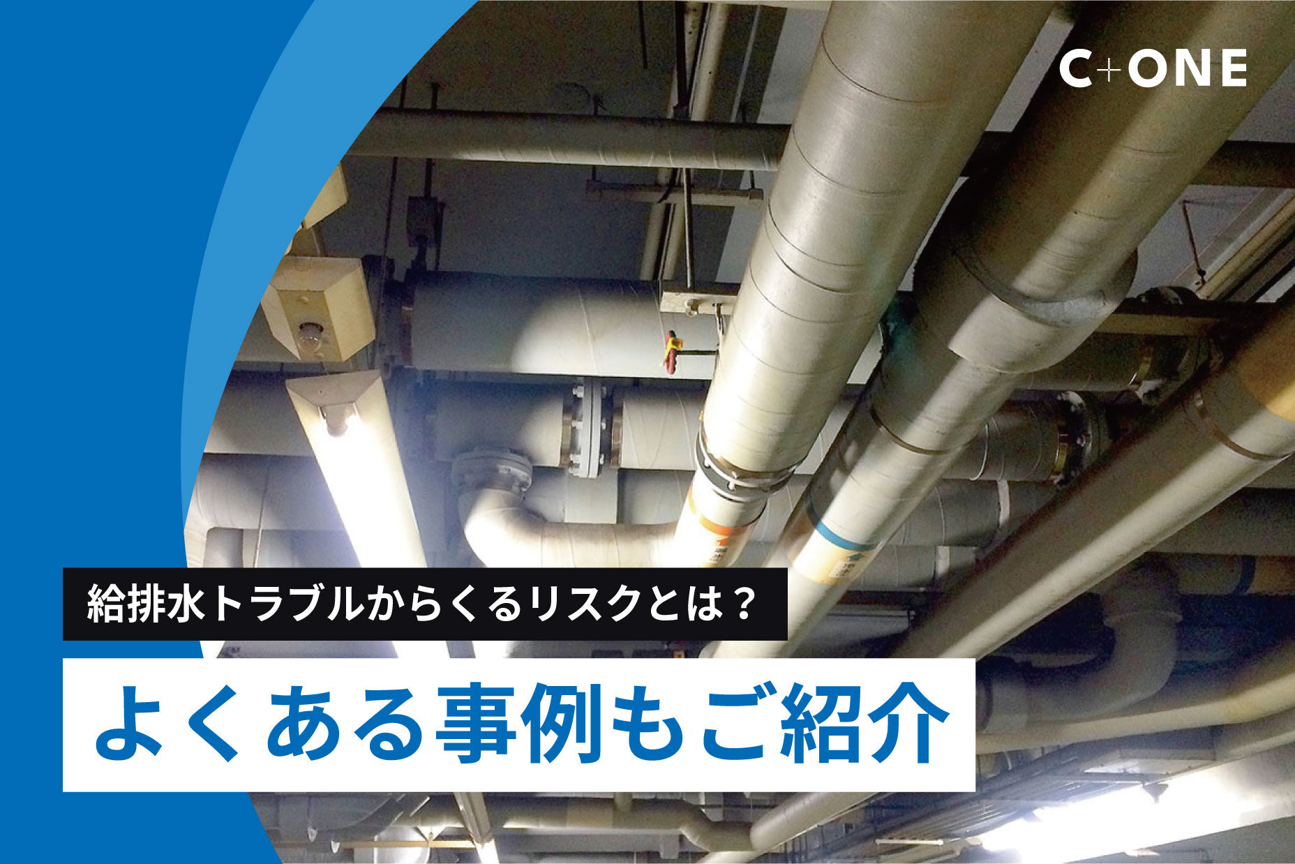 記事の画像