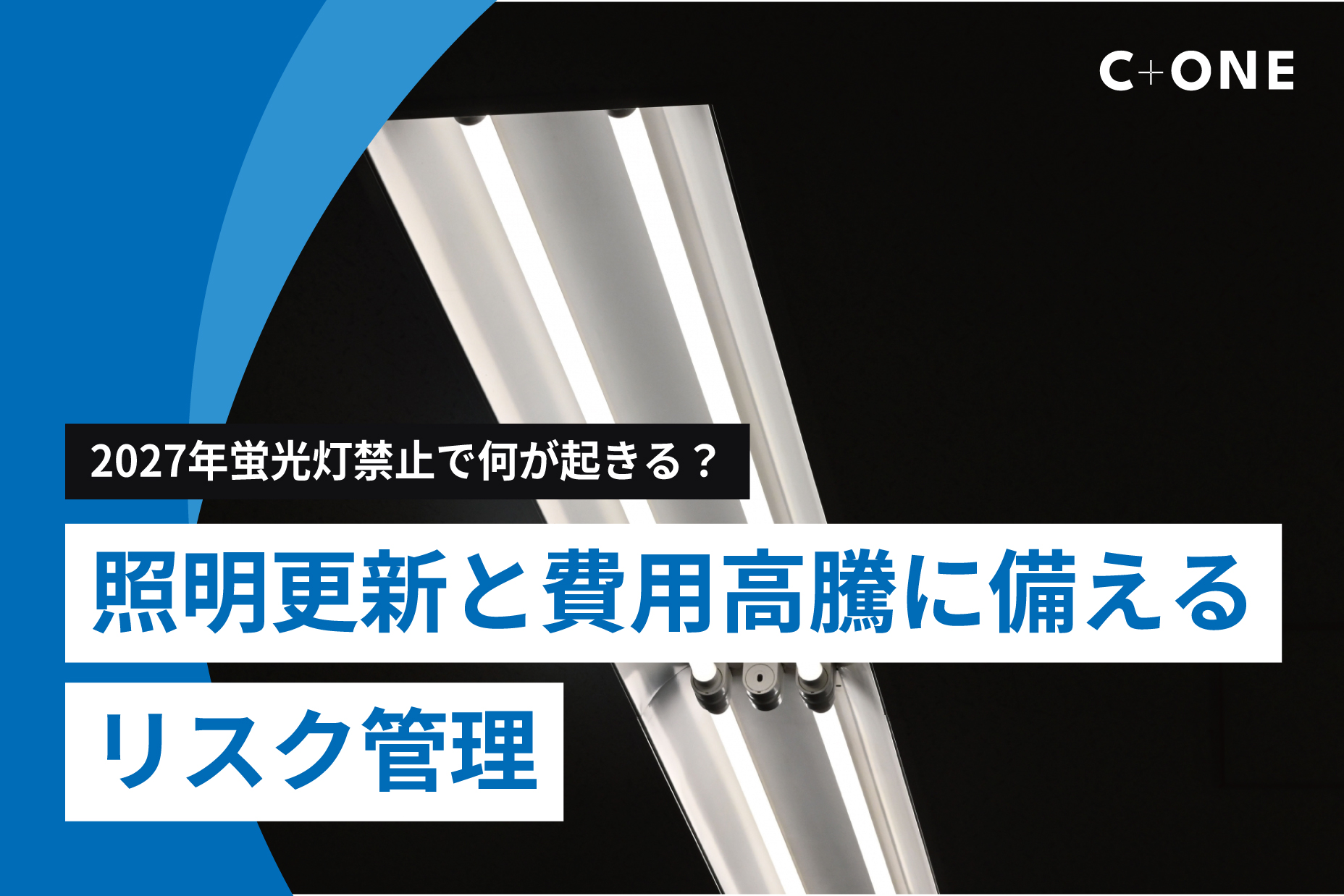 記事の画像