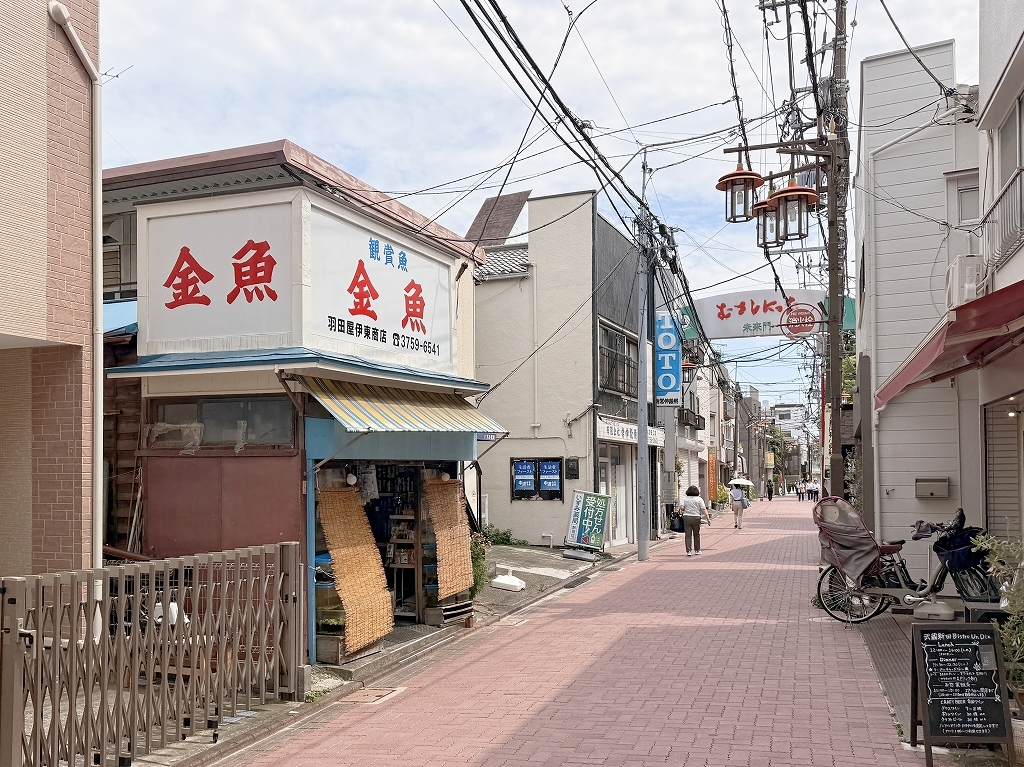 矢口一丁目PJ_2-9